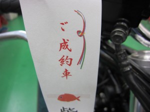 IMG_0013