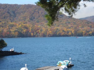 IMG_0004