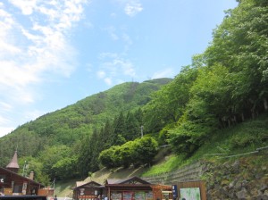 IMG_0010