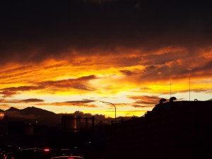 DSCF0431