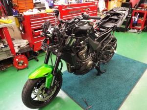 DSCF0481