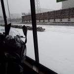 DSCF1976