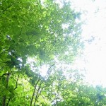 resize[1]